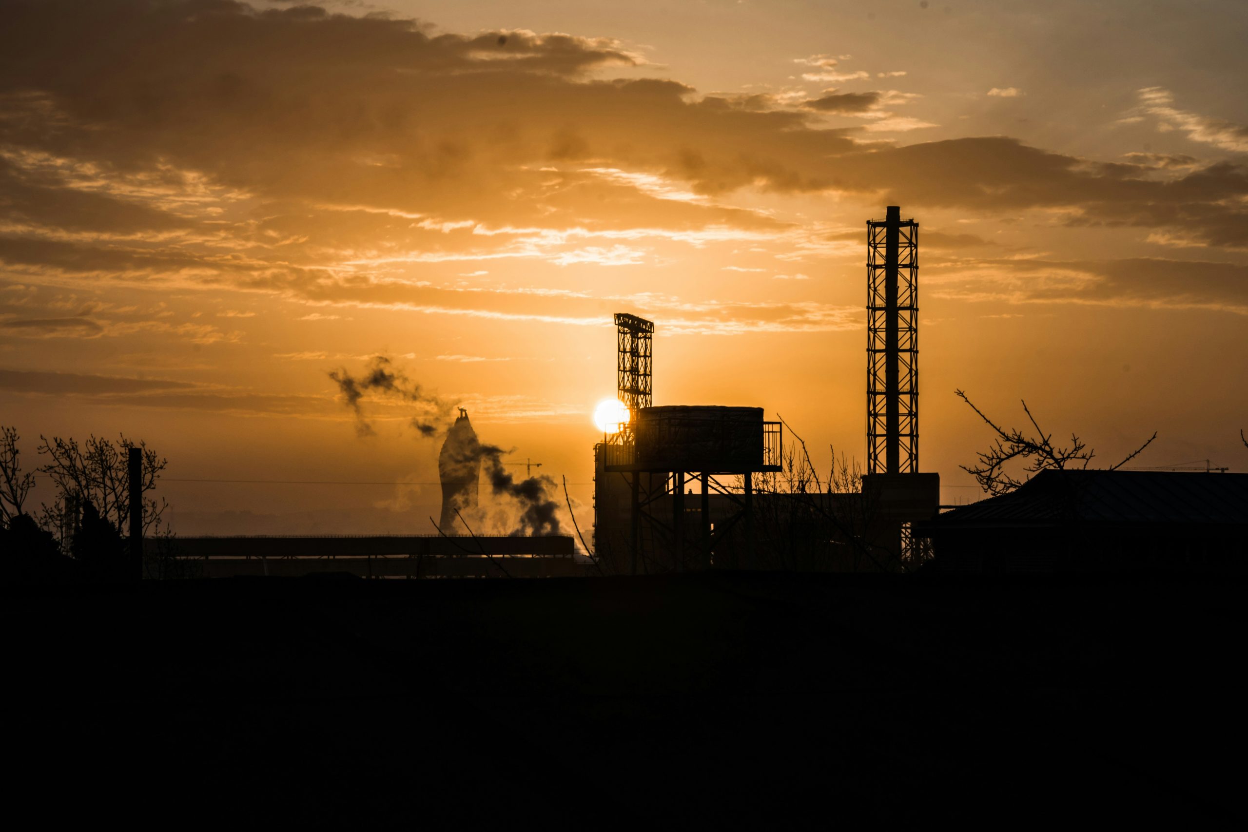 Petroleum plant
